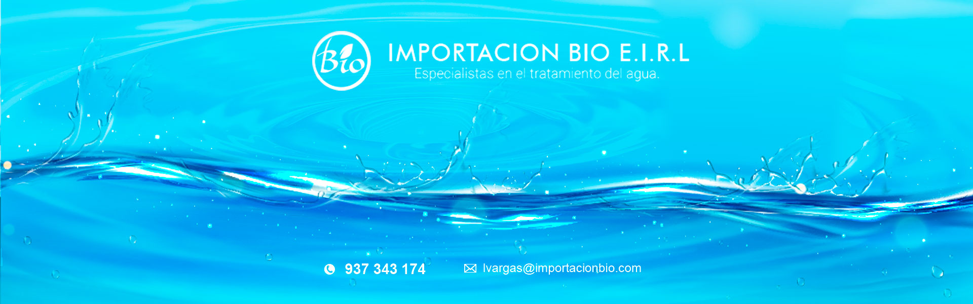 importacion bion